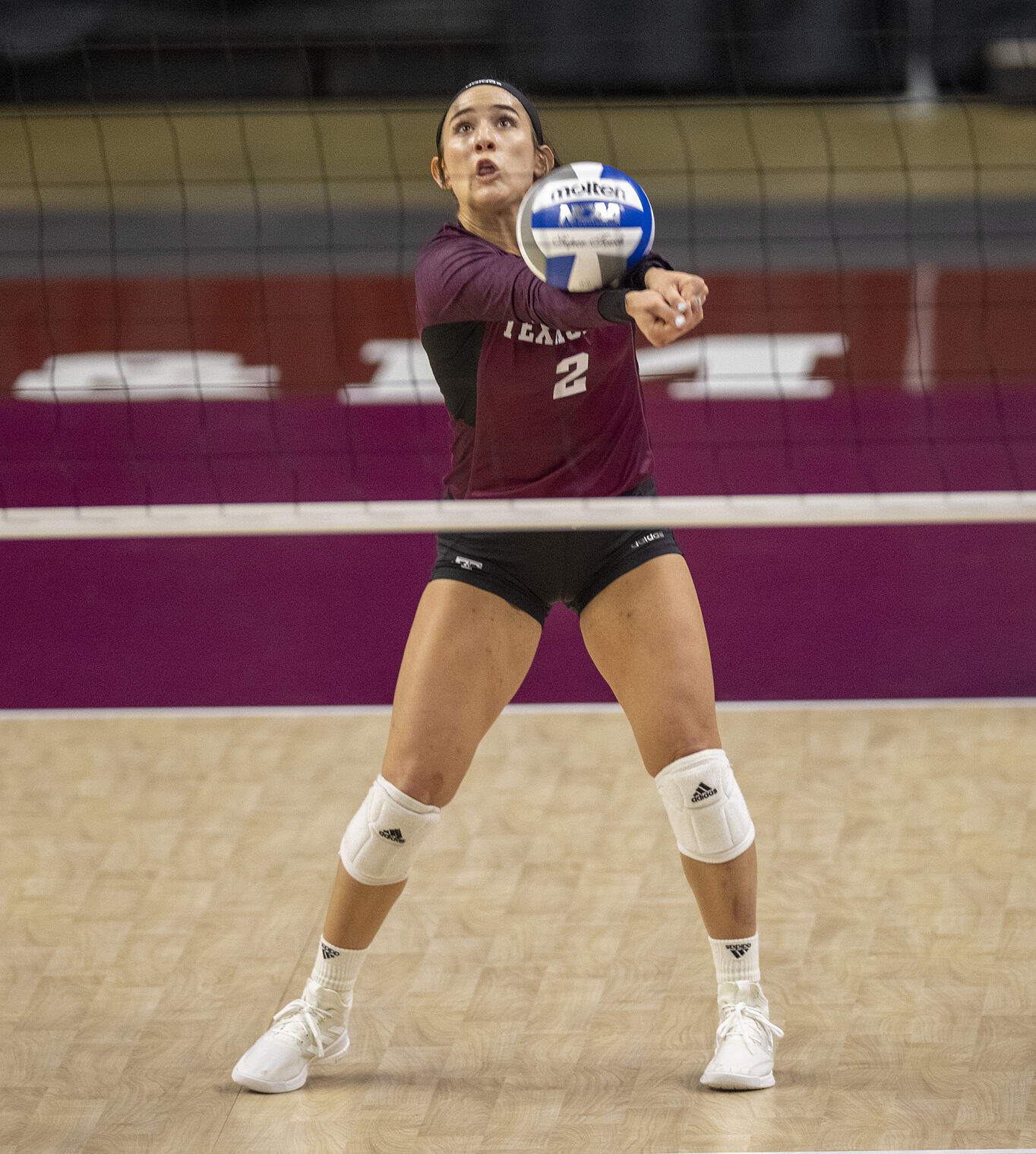 Texas A&M vs Florida